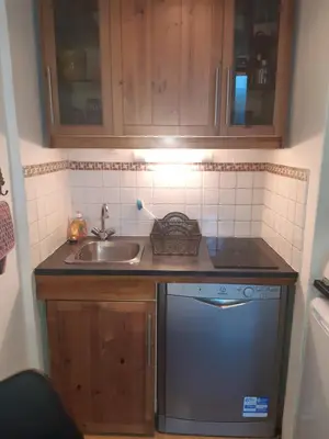 a small kitchen with a sink and a dishwasher at Le Carlton in Chamonix-Mont-Blanc
