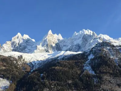 a snow covered mountain range with trees in the foreground at Le petit M Chamonix au pied du Brévent in Chamonix-Mont-Blanc