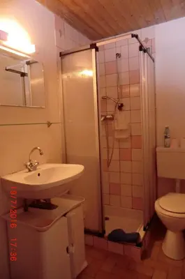 a bathroom with a sink and a shower and a toilet at Les passereaux in Saint-Nicolas-de-Véroce