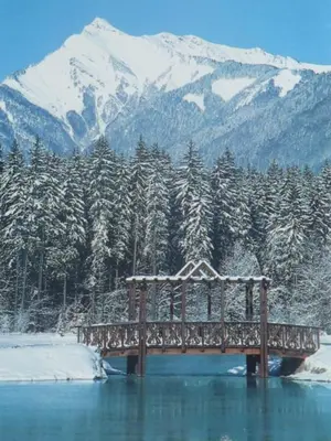 a wooden bridge over a body of water with snow covered trees at Samoëns studio in Samoëns