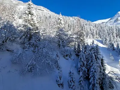 an aerial view of snow covered trees in a mountain at Studio spacieux pour 4 personnes, proche des pistes - FR-1-425-74 in Flaine