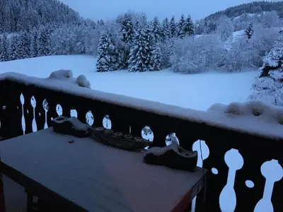 a balcony with snow covered trees and a table with birds on it at Sallanches 3101 Route de Nant Cruy immeuble le Grand R in Sallanches