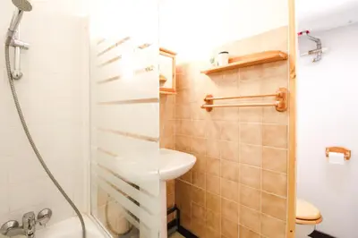 a bathroom with a shower and a toilet and a sink at Spacious Apartment Iris, Flaine Foret in Flaine