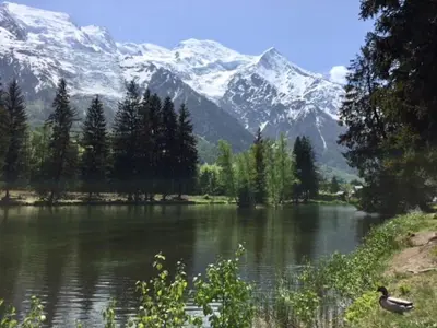 a duck swimming in a lake with snow covered mountains at Chamois Blanc in Chamonix-Mont-Blanc