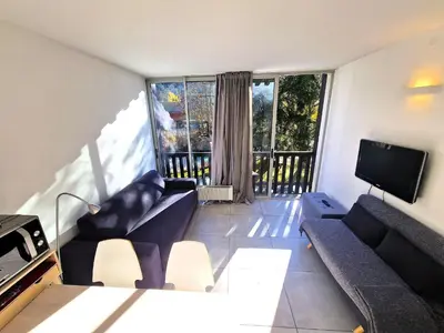 a living room with two couches and a tv at Studio lumineux avec vue sur le massif du Mont-Blanc in Chamonix-Mont-Blanc
