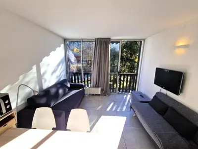 a living room with two couches and a tv at Studio lumineux avec vue sur le massif du Mont-Blanc in Chamonix-Mont-Blanc