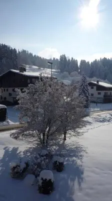 a tree covered in snow in a parking lot at Appartement du Petit Bois in Megève