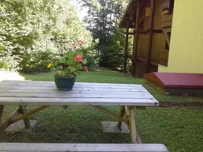 a wooden picnic table with a potted plant on it at Cordon Balcon Du Mont Blanc in Cordon