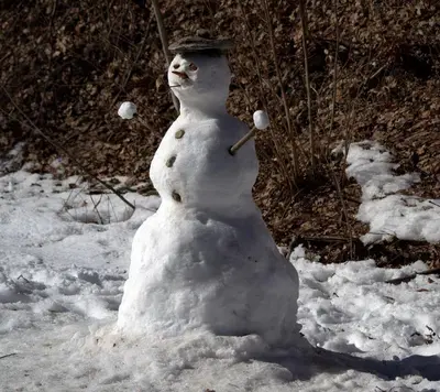 a snowman is standing in the snow at Cordon Balcon Du Mont Blanc in Cordon