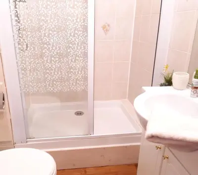 a bathroom with a shower and a toilet and a sink at Le Sapi 1E Balcon panoramique Aiguilles Rouges avec parking gratuit in Chamonix-Mont-Blanc