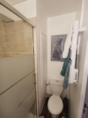 a small bathroom with a toilet and a shower at La Cabane in Chamonix-Mont-Blanc