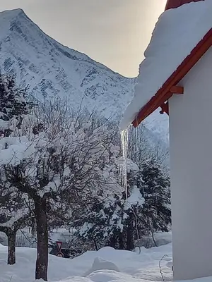 a snow covered roof of a house with a tree at Appartement avec Terrasse in Chamonix-Mont-Blanc
