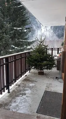 a christmas tree sitting on a balcony next to a fence at Appartement Native in Chamonix-Mont-Blanc