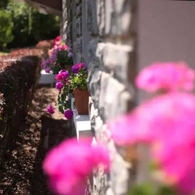a bunch of pink flowers on a stone wall at Aran Apartment - Chamonix in Chamonix-Mont-Blanc