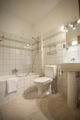 a bathroom with a toilet and a sink and a shower at Petite Savoyarde - Chamonix in Chamonix-Mont-Blanc