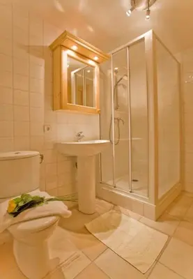 a bathroom with a toilet and a shower and a sink at Chalet Bois - Chamonix in Chamonix-Mont-Blanc