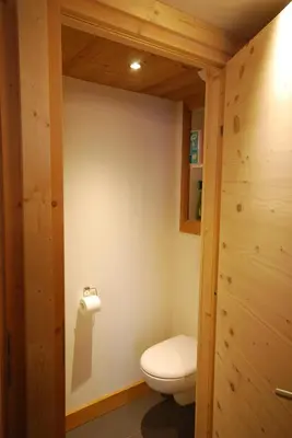 a bathroom with a toilet and a wooden wall at Appartement 25m2 à Saint-Gervais les bains in Saint-Gervais-les-Bains