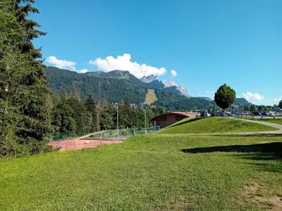 a grassy hill with trees and mountains in the background at Studio accueillant à Les Carroz, 27 m², vue montagne in Les Carroz d'Araches