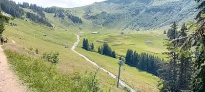 a dirt road on a green hill with trees at Studio accueillant à Les Carroz, 27 m², vue montagne in Les Carroz d'Araches