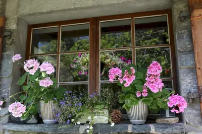 a window with potted flowers on a window sill at The Guest House in Vallorcine