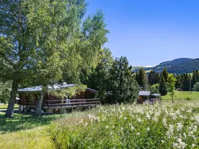 a cabin with a grass roof in a field at Chalet 4 chambres à Megève Mont d'Arbois - 10 pers, terrasse, parking - FR-1-453-10 in Megève