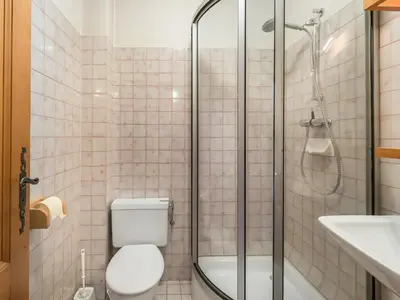 a bathroom with a shower and a toilet and a sink at Appartement cosy 1 chambre à Megève, animaux admis - FR-1-453-63 in Megève