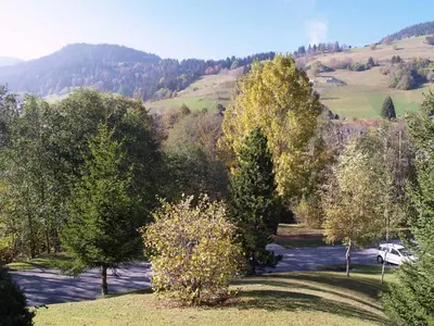 a car is parked in a field with trees at Studio à Megève - 3 personnes, Animaux admis - FR-1-453-116 in Megève