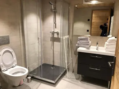 a bathroom with a shower and a toilet and a sink at Chalet Victoire in Chamonix-Mont-Blanc