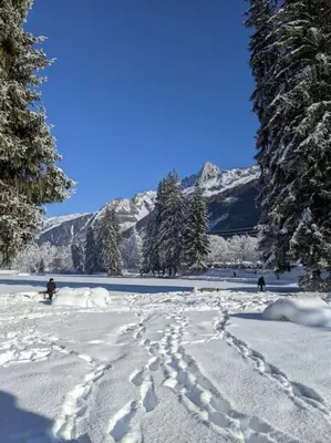 a snow covered field with trees and a mountain at Chalet des glaciers in Chamonix-Mont-Blanc