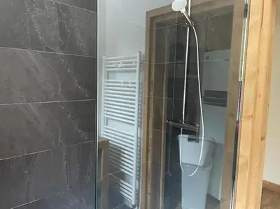 a bathroom with a shower with a toilet in it at Chalet des glaciers in Chamonix-Mont-Blanc