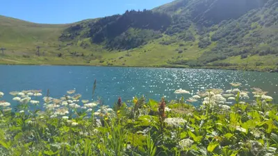 a view of a lake with mountains in the background at Demi-Chalet Le Bief --Prox pistes in Les Carroz d'Araches