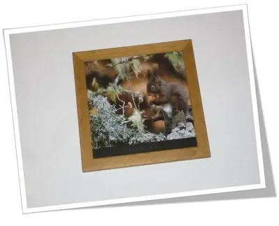 a picture of a squirrel in a picture frame at Appartement L'Ecureuil 8 pers -Prox pistes et centre village- in Les Carroz d'Araches