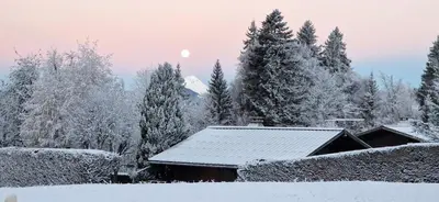 a house covered in snow in front of trees at Appartement L'Ecureuil 8 pers -Prox pistes et centre village- in Les Carroz d'Araches