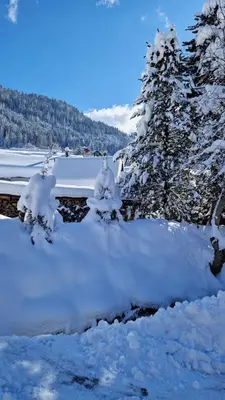 a group of trees covered in snow next to a river at Demi-Chalet l'Ancolie -- Prox pistes in Les Carroz d'Araches