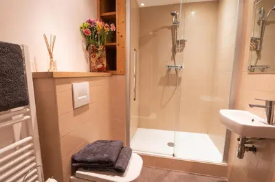 a bathroom with a shower and a toilet and a sink at Mintaka Apartment - Chamonix in Chamonix-Mont-Blanc