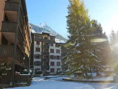 a tree in the snow in front of a building at Apartment Jonquilles-7 by Interhome in Chamonix-Mont-Blanc
