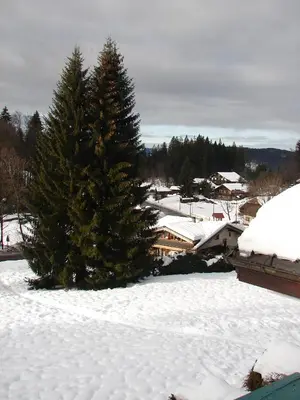 a snow covered yard with a christmas tree at LES CARROZ LE LAYS cosy apartment 40M2 vue montagne plein sud in Les Carroz d'Araches