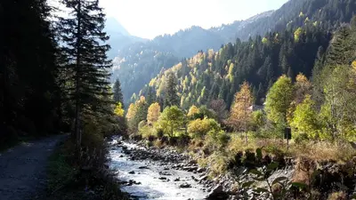 a river in the middle of a valley with trees at Le Lièvre Blanc, appartement N°2 in Les Contamines-Montjoie