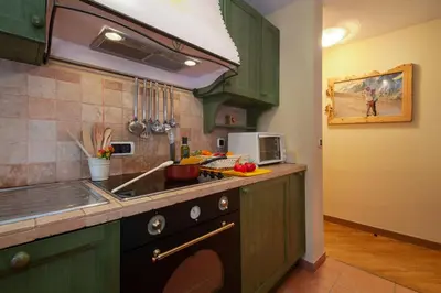 a kitchen with green cabinets and a sink at Appartement Beauregard 1 - Happy Rentals in Les Houches