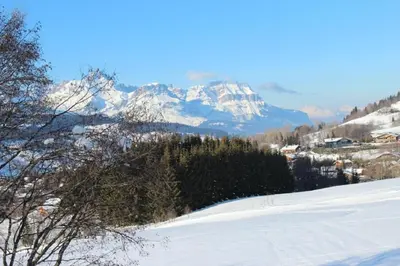 a snow covered mountain in the distance with trees at Chalet Les Meuniers in Megève
