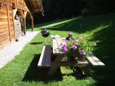 a living room with a couch and a fireplace at Le Caribou in Saint-Gervais-les-Bains