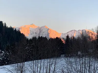 a snow covered mountain range with trees in the foreground at L'Onyx - Domaine de Nant Cruy in Sallanches