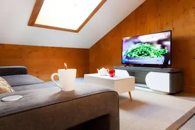 a living room with a couch and a flat screen tv at Appartement Le Galetas des Planards in Chamonix-Mont-Blanc