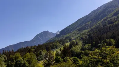 a view of a mountain range with trees at Appartement Le Caboen Les Planards in Chamonix-Mont-Blanc
