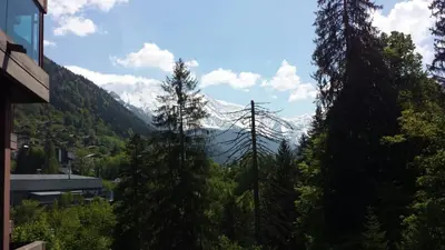 a view of a mountain through some trees at Castel des roches Leal Julien in Saint-Gervais-les-Bains