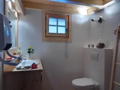 a bathroom with a sink and a toilet and a window at Chalets Ile des Barrats in Chamonix-Mont-Blanc