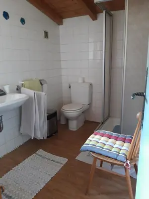 a bathroom with a toilet and a sink and a shower at Crêmerie Balmat in Chamonix-Mont-Blanc