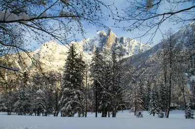a snow covered mountain with trees in the foreground at Apartment Maya, La Praz, Chamonix Mont Blanc in Chamonix-Mont-Blanc