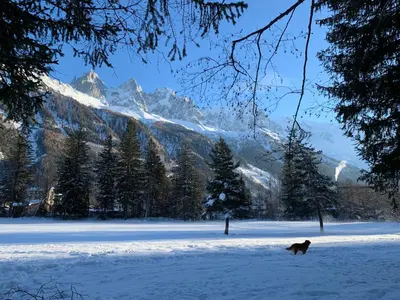 a dog running in the snow in front of a mountain at Apartment Maya, La Praz, Chamonix Mont Blanc in Chamonix-Mont-Blanc