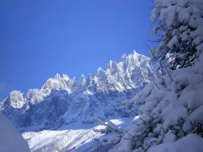 a mountain covered in snow with a tree in the foreground at le Montagny in Les Houches